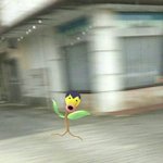 [댓글부탁해] 메이저 파면 세상 행복하다 눈이 트인다