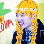 [그렇다능] 하와이 경수라능