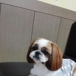 미친미모 자랑하는 울 <b>츄</b>