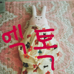 [EXO] 인사해줘 우리집 비비야