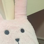 [EXO] ? 비비 안녕