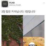 [댓글부탁해] ?이 사진 이해시켜주실분...