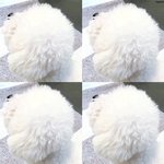 [EXO] 비비의 동글동글 뒷<b>통수</b>
