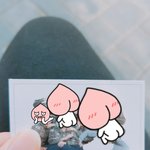 [주인찾아요] 사진 주인을 찾습니다..