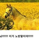 [ㅋㅋㅋㅋㅋ] 중학교 <b>도덕</b>쌤 짝사랑 하고있었는데