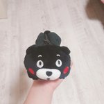 <b>쿠마</b>몬필통