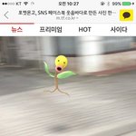 [추반<b>해쥬</b>] 너네스타킹머신어?