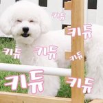 [드루와] 러블리즈가 못뜨는 이유.<b>fact</b>