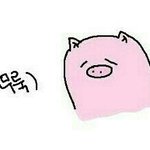 [EXO] ㅅㅂ방금 거울 봤는데