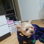 [토리네] 오늘도 출근<b>도장</b>!!