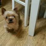 [EXO] <b>울</b> <b>애기</b> 보고싶다
