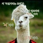 최근에 제일 설레버린거 얘기하자