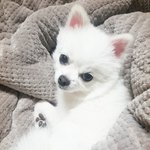 내눈엔 조정석<b>구름</b>이