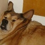 헐 ㅁ친 얘들아 이거봤어????