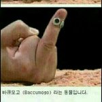 아 동그리 안경으로 바꿨는데 망함