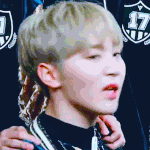 [세븐틴] ㅅㄷ <b>버피</b>테스트 해본 캐럿들 있어??