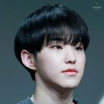 [세븐틴] 호시같은<b>음색</b>..
