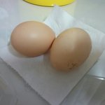 얘들아 이거 <b>계란</b>임??