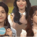 닮은꼴 아이린-지수 투샷