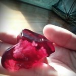 [드루와] 얘들아 곤약<b>젤리</b>에 꽃이피었어!!!!!!!!ㅠㅠㅠㅠㅠㅠ