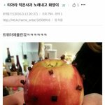[댓글부탁해] 얘들아 화영 이거 사과에 뭐<b>박아</b>논거임?
