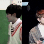 [세븐틴] 애들 <b>수신호</b> 같은거?