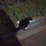 [EXO] ㅅㅂ <b>누가</b> 얠 두고갔냐 추운데 미친녀니
