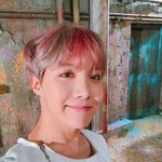 [방탄소년단] 이번주에 애들 짹