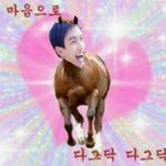 [세븐틴] 캐럿이라는 이름