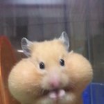 [시우민] 시우민 <b>먹이</b>주머니 발견!!