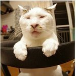 [ㅋㅋㅋㅋㅋ] 나지금똥싸는뎈ㅋㅋㅋㅋ내 <b>방구</b>소리에 개놀램ㅋㅌㅋㅌㅌ