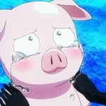 [이삐] 내짹<b>친들</b> 다 지방살아8ㅅ8