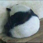 여드름 있는애가