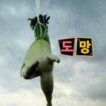25 호 발라본 후기