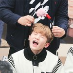 <b>팬</b>들에 격한 <b>사랑</b>받는 쪼꼬미 라인들