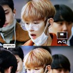 [EXO] 염색 그만했으면 좋겠다 ㅅㅂ 머리