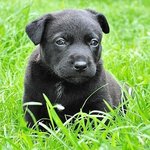 자기양~<b>화나</b>쩡.