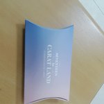 [세븐틴] 나오면 <b>팔찌</b> 나눠줌!