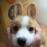 [댓글부탁해] <b>철벽</b>치는 법 알려주셈