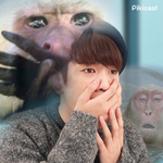 이거 진짜 방탄 <b>정국</b>같애..