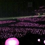 [이삐] 콘서트 가는 이삐들 들어와서 좀 봐주랑
