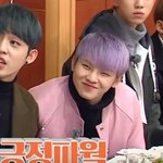 [세븐틴] 지수지훈 머리<b>색</b> 궁금한 캐럿?