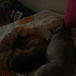 [토리네] 토리랑 <b>미미랑</b>