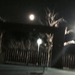[<b>댓글</b>부탁해] 얘들아 지금 <b>달</b> 개이쁨
