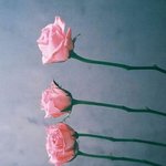 [댓글부탁해] 같은 그룹 멤버끼리 <b>언팔</b>하면 문제있는거야?