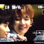 [EXO] 모찌의 <b>정석</b>이네