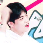 [세븐틴] 나 예전에 스포했던거? 궁금한거 있는데