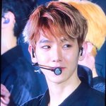 [EXO] 백현아 조카 <b>화사</b>하다...