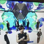 [EXO] 타어랑 손금 <b>궁합</b>봄