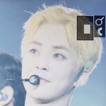 [EXO] 짤보고 노래 <b>자동</b>재생됨